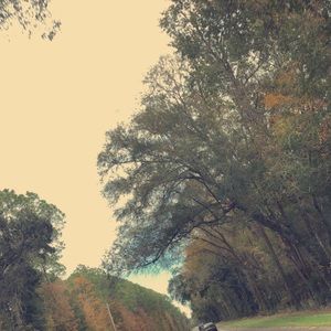 Meet your Posher, Faten